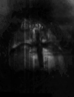 Moromoroland / Drom  / JTNB
