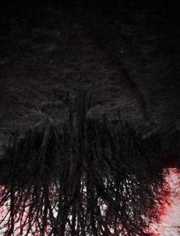 Narcosatanicos \ Sweeps 04 \ SolSol