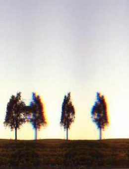SolSol